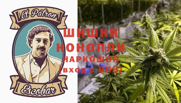 соль ск Абаза