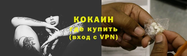 соль ск Абаза