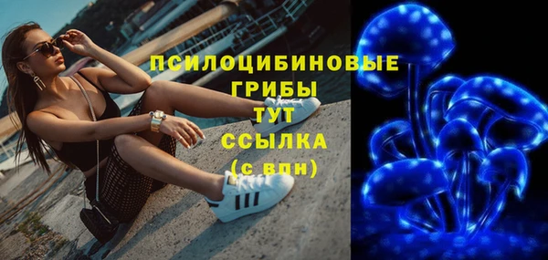 амф Алексин